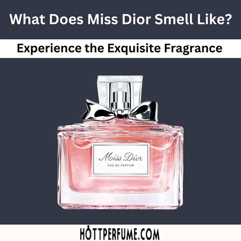 miss dior angebote|what does miss dior perfume smell like.